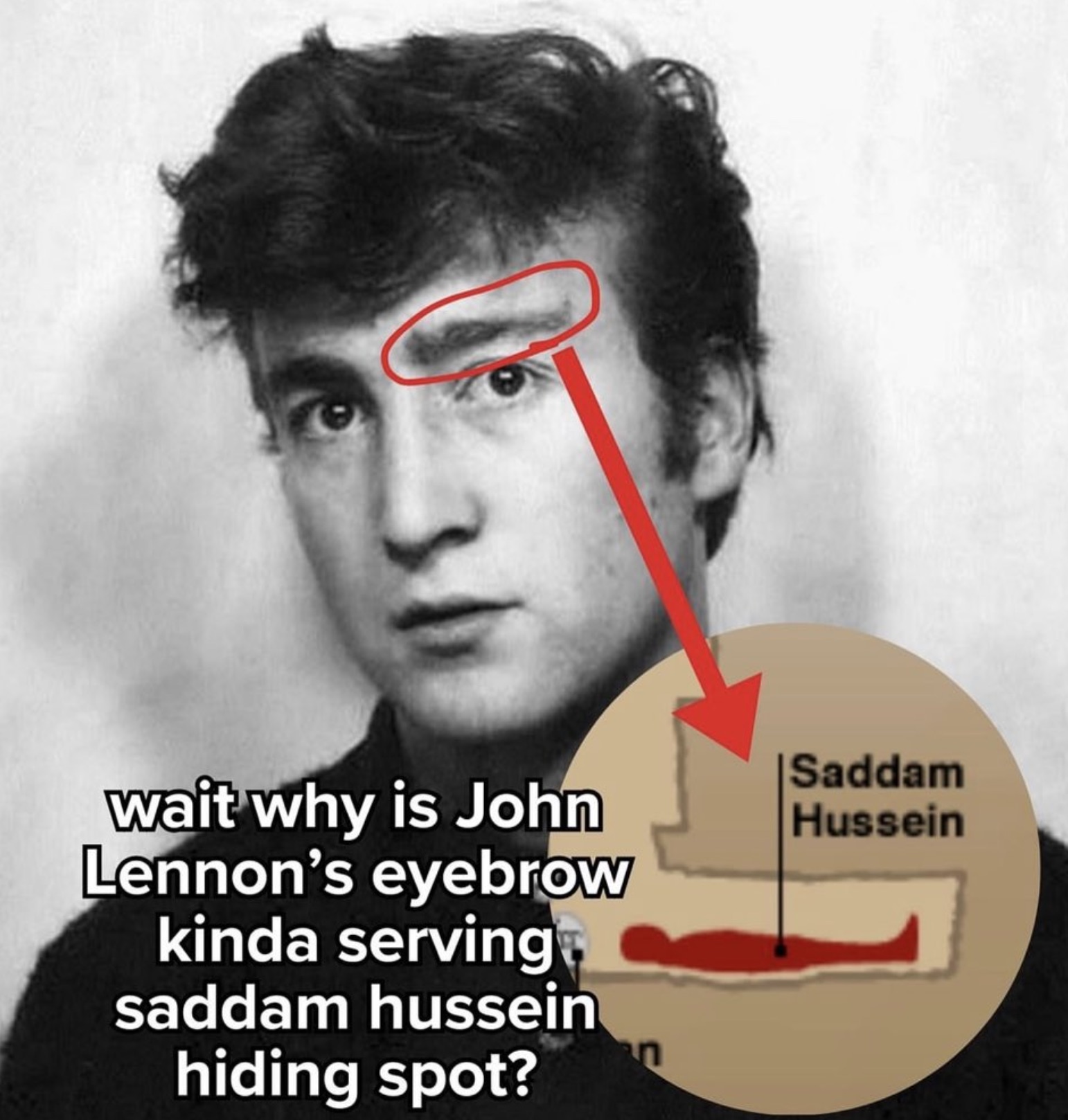 john lennon rebel - wait why is John Lennon's eyebrow kinda serving saddam hussein hiding spot? Saddam Hussein